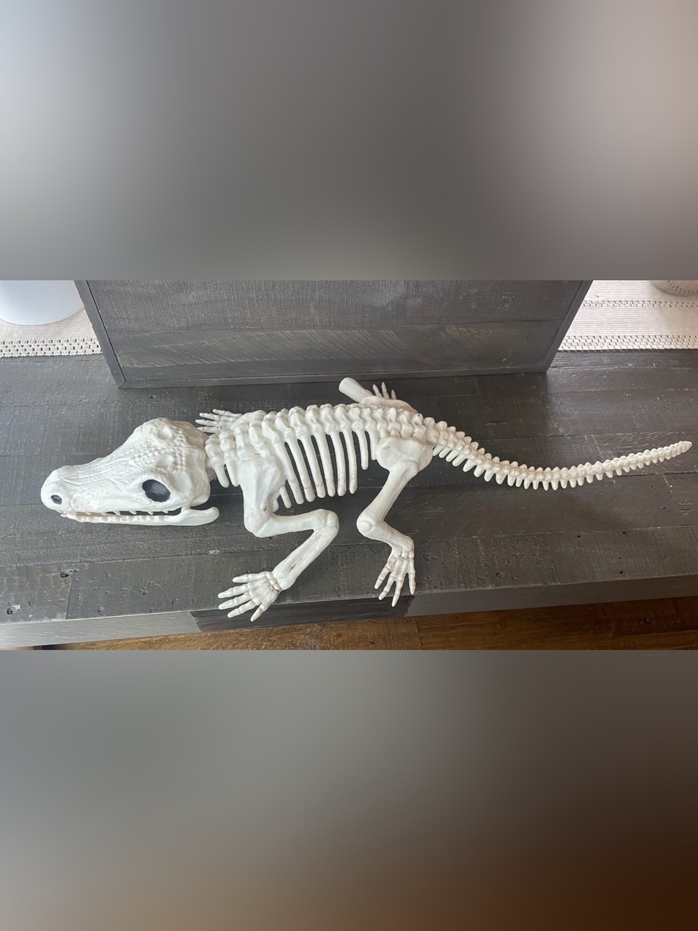 White Alligator/ Crocodile Skeleton Decor for Pets & Terrariums